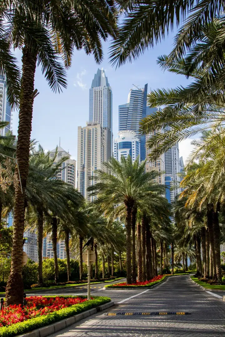 Nocna panorama Dubaju z oświetlonymi wieżowcami i Burj Khalifa